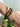Bracelet Nox doré