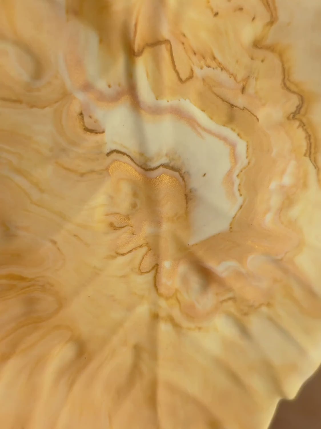 Plateau à bijoux feuille de Monstera – Série Soleil
