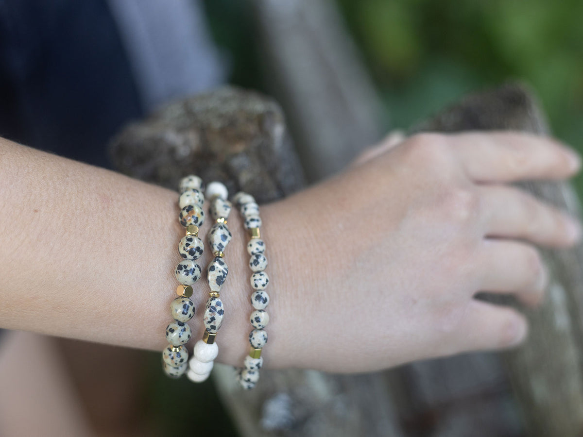 Ensemble Dalmatian doré